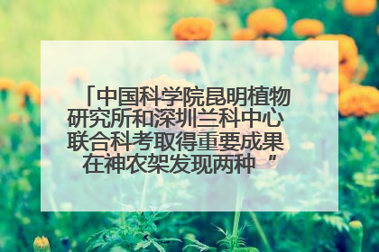 中国科学院昆明植物研究所和深圳兰科中心联合科考取得重要成果 在神农架发现两种“国保”级兰花