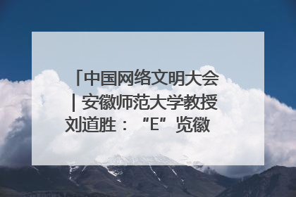中国网络文明大会｜安徽师范大学教授刘道胜：“E”览徽风，构筑中华民族共有精神家园
