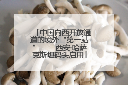 中国向西开放通道的境外“第一站”——西安·哈萨克斯坦码头启用