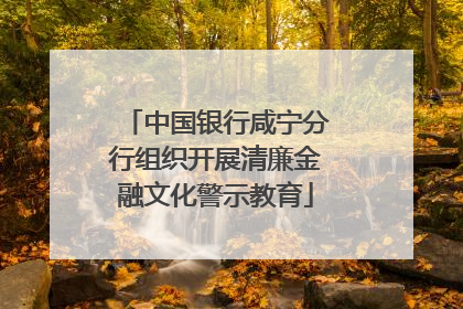 中国银行咸宁分行组织开展清廉金融文化警示教育