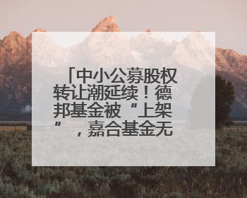 中小公募股权转让潮延续！德邦基金被“上架”，嘉合基金无人问津