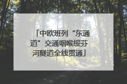 中欧班列“东通道”交通咽喉绥芬河隧道全线贯通