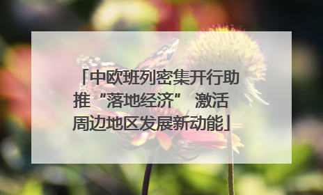 中欧班列密集开行助推“落地经济” 激活周边地区发展新动能