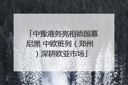 中豫港务亮相德国慕尼黑 中欧班列（郑州）深耕欧亚市场