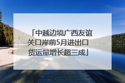 中越边境广西友谊关口岸前5月进出口货运量增长超三成