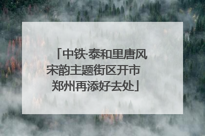 中铁·泰和里唐风宋韵主题街区开市 郑州再添好去处