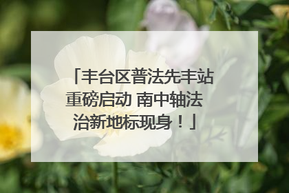 丰台区普法先丰站重磅启动 南中轴法治新地标现身！