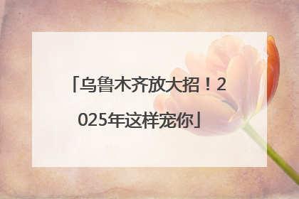 乌鲁木齐放大招！2025年这样宠你