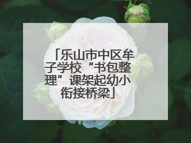 乐山市中区牟子学校“书包整理”课架起幼小衔接桥梁