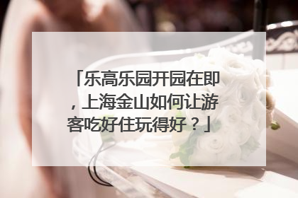 乐高乐园开园在即，上海金山如何让游客吃好住玩得好？