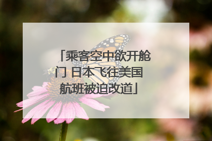 乘客空中欲开舱门 日本飞往美国航班被迫改道