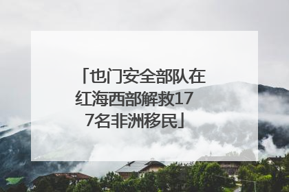 也门安全部队在红海西部解救177名非洲移民