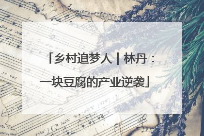 乡村追梦人｜林丹：一块豆腐的产业逆袭