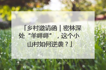 乡村邀请函｜密林深处“羊咩咩”，这个小山村如何逆袭？