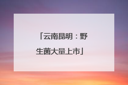 云南昆明：野生菌大量上市