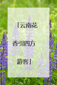 云南花香引四方游客
