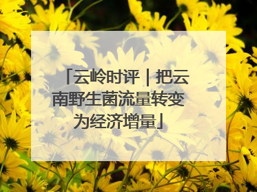 云岭时评｜把云南野生菌流量转变为经济增量