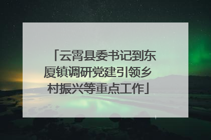 云霄县委书记到东厦镇调研党建引领乡村振兴等重点工作