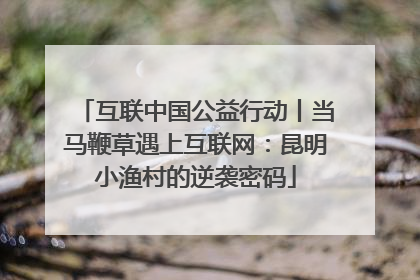 互联中国公益行动丨当马鞭草遇上互联网：昆明小渔村的逆袭密码
