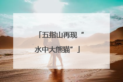 五指山再现“水中大熊猫”