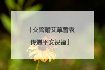 交警赠艾草香囊 传递平安祝福
