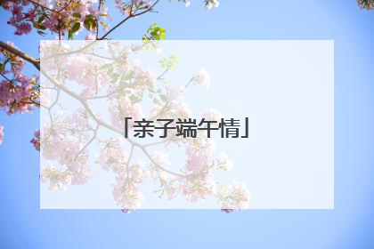 亲子端午情