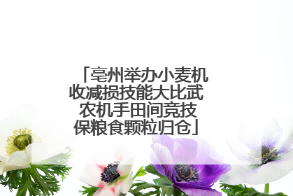 亳州举办小麦机收减损技能大比武 农机手田间竞技保粮食颗粒归仓