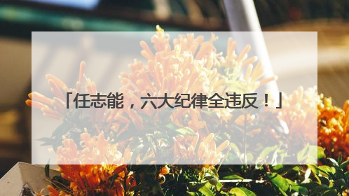 任志能，六大纪律全违反！