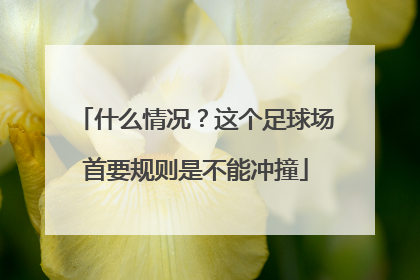什么情况？这个足球场首要规则是不能冲撞