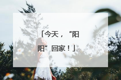 今天，“阳阳”回家！