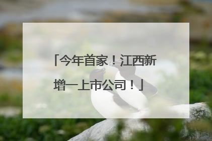 今年首家！江西新增一上市公司！