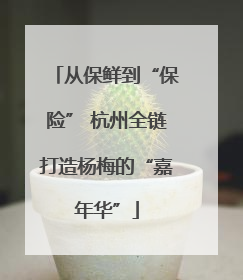 从保鲜到“保险” 杭州全链打造杨梅的“嘉年华”