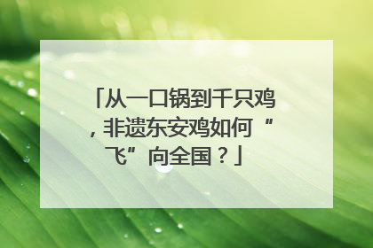 从一口锅到千只鸡，非遗东安鸡如何“飞”向全国？