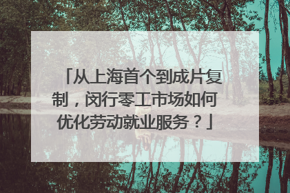 从上海首个到成片复制，闵行零工市场如何优化劳动就业服务？