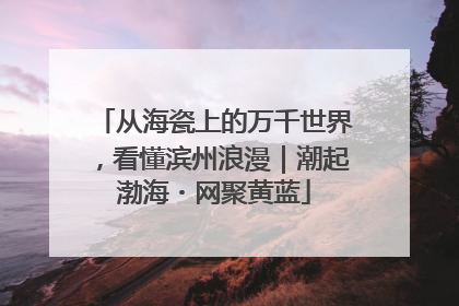 从海瓷上的万千世界，看懂滨州浪漫｜潮起渤海・网聚黄蓝
