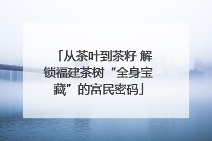 从茶叶到茶籽 解锁福建茶树“全身宝藏”的富民密码