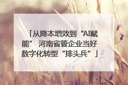从降本增效到“AI赋能” 河南省管企业当好数字化转型“排头兵”