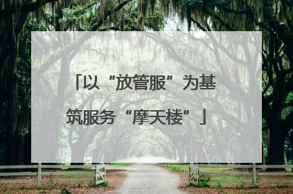 以“放管服”为基筑服务“摩天楼”