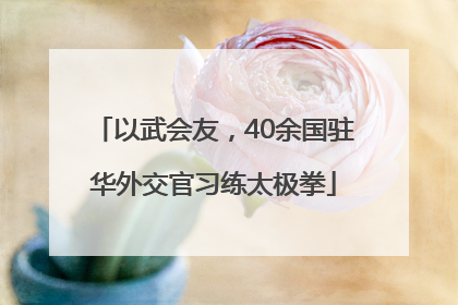 以武会友，40余国驻华外交官习练太极拳
