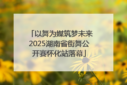 以舞为媒筑梦未来 2025湖南省街舞公开赛怀化站落幕