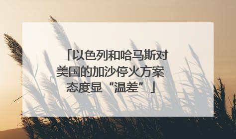 以色列和哈马斯对美国的加沙停火方案态度显“温差”