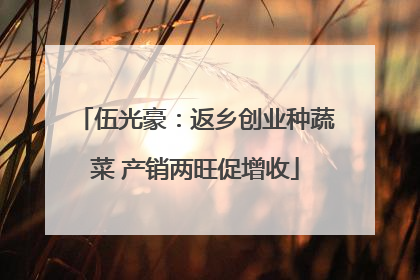 伍光豪：返乡创业种蔬菜 产销两旺促增收