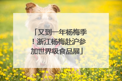 又到一年杨梅季！浙江杨梅赴沪参加世界级食品展