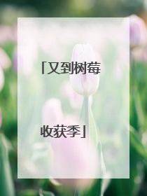 又到树莓收获季