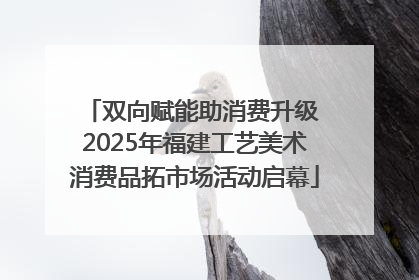 双向赋能助消费升级 2025年福建工艺美术消费品拓市场活动启幕