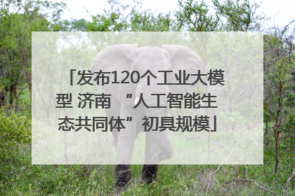 发布120个工业大模型 济南 “人工智能生态共同体”初具规模