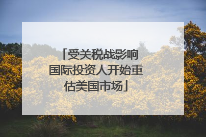 受关税战影响 国际投资人开始重估美国市场