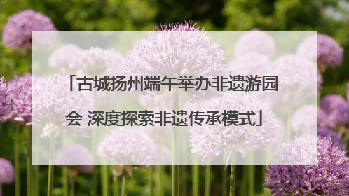 古城扬州端午举办非遗游园会 深度探索非遗传承模式