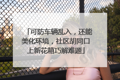 可防车辆乱入，还能美化环境，社区胡同口上新花箱巧解难题