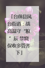台前县凤台街道：战高温守“粮”辰 禁烧保收多管齐下